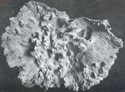 Miniatuurfoto