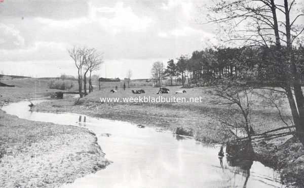 Hattem, een interessant Veluwsch stadje. Oude Grift bij Hattem