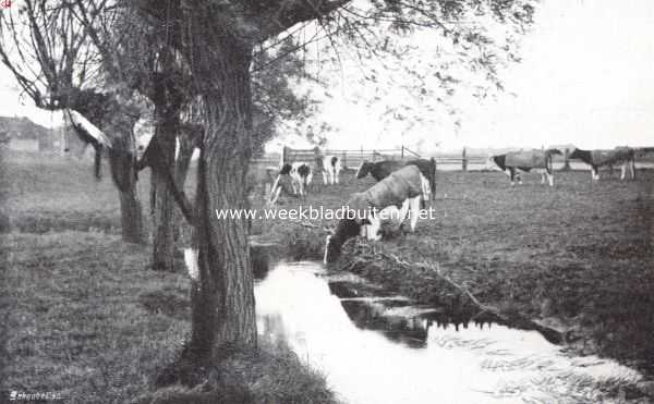 Gelderland, 1912, Hattem, Hattem, een interessant Veluwsch stadje. De Hoenwaard bij Hattem