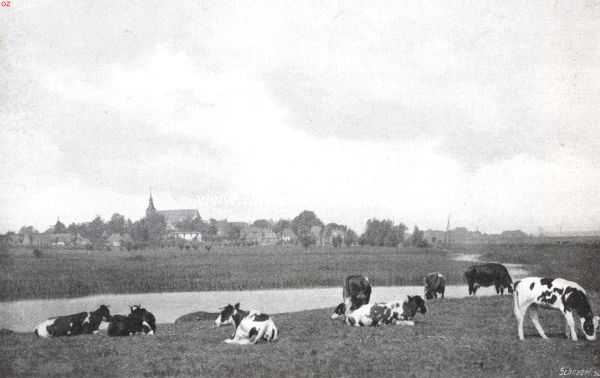 Gelderland, 1912, Hattem, Hattem, een interessant Veluwsch stadje. Weide met gezicht op Hattem