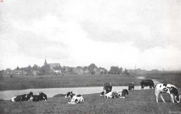 Hattem, een interessant Veluwsch stadje. Weide met gezicht op Hattem