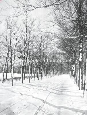 Onbekend, 1912, Onbekend, Sneeuw in 't bosch