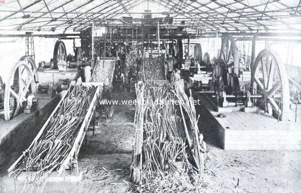 Fabricatie van rietsuiker op Java. Het suikerriet wordt door carriers naar de molens gevoerd