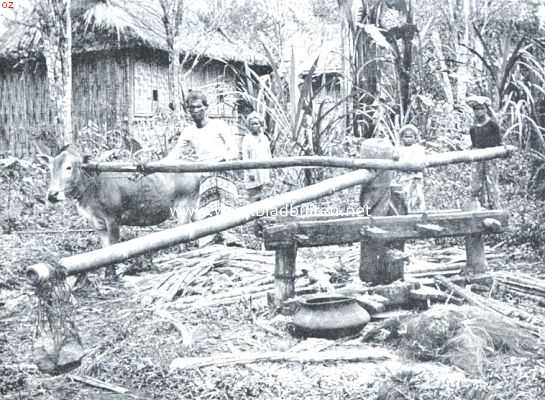 Indonesi, 1912, Onbekend, Fabricatie van rietsuiker op Java. Een inlandsche houten suikermolen