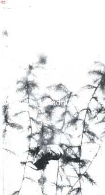 Onbekend, 1912, Onbekend, De waterspin (Argyroneta Aquatica Cl.). VI. De spin heeft den bouw onderbroken om een prooi 