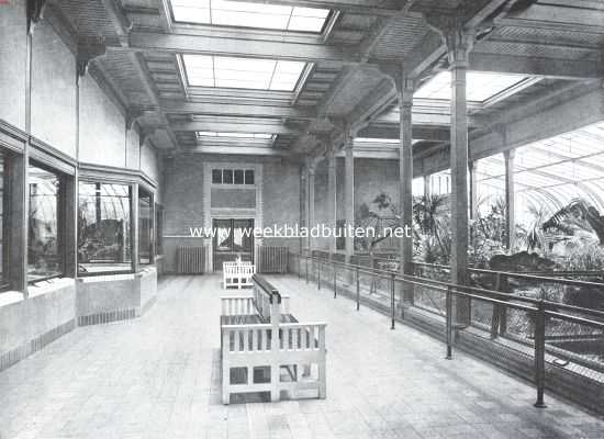 Noord-Holland, 1912, Amsterdam, In het Reptielenhuis van 
