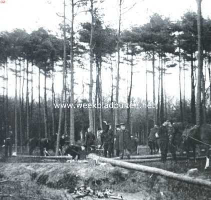 Noord-Brabant, 1912, Onbekend, Oefening in het slaan van een brug over de Mark. 1. Het vellen der boomen in het Mastbosch