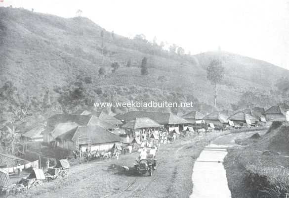 Indonesi, 1912, Onbekend, De Thee-cultuur op Java. Passar (inl. markt) in de afdeeling Passar Nangka: op de hellingen theetuinen