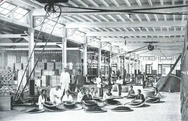 Indonesi, 1912, Onbekend, De Thee-cultuur op Java. De theefabriek Pasir Nangka. Links afpakken; rechts sorteeren