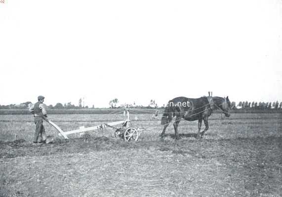 Nederland, 1912, Onbekend, De oogst. Stoppelen met den ouderwetschen ploeg