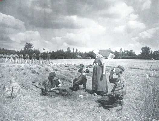 Nederland, 1912, Onbekend, De oogst. Een rustpoos in het roggeveld. Moeder de vrouw schenkt koffie
