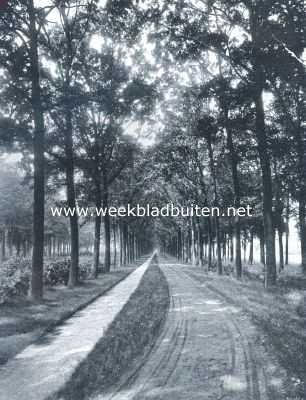 Noord-Brabant, 1912, Sint-Michielsgestel, Eikenlaan naar het Kasteel Zegenwerp (N.-B.)