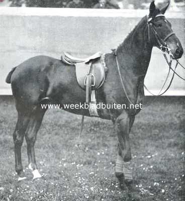 Onbekend, 1912, Onbekend, De geschiedenis van het paard. Bij de vooroefening. Officiersdienstpaard
