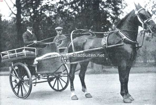 Onbekend, 1912, Onbekend, De geschiedenis van het paard. Zwaar tuigpaard voor de dresseerkar