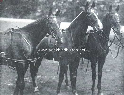 Onbekend, 1912, Onbekend, De geschiedenis van het paard. Cavallerie-dienstpaarden