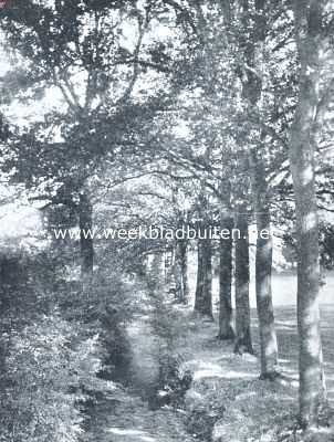 Limburg, 1912, Geijsteren, Beekje bij Geysteren