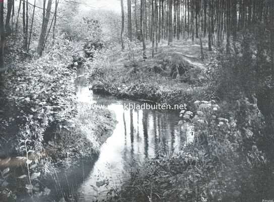 Gelderland, 1912, Epe, De Verloren Beek bij Epe