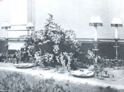 Miniatuurfoto