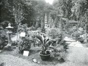 Miniatuurfoto