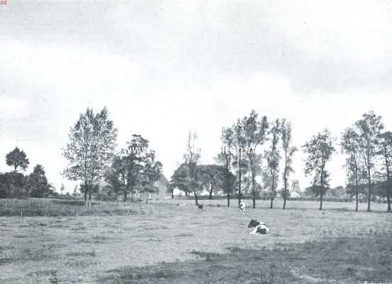 Drenthe, 1913, Gieten, Kijkjes in Drenthe. Dorpsgezicht te Gieten
