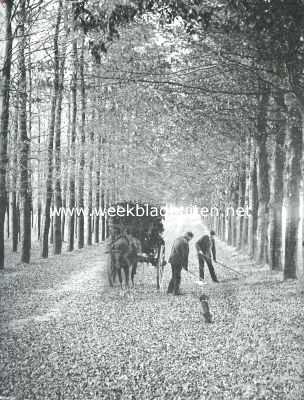 Gelderland, 1913, Arnhem, Laan op den Waterberg, bij Arnhem, leidende naar de plaats, waar men het Nederlandsche Openluchtmuseum hoopt te kunnen oprichten