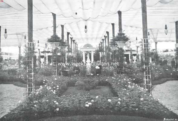 Zuid-Holland, 1913, Boskoop, De rozententoonstelling te Boskoop. Overzicht van de groote zaal gezien van het paviljoen uit