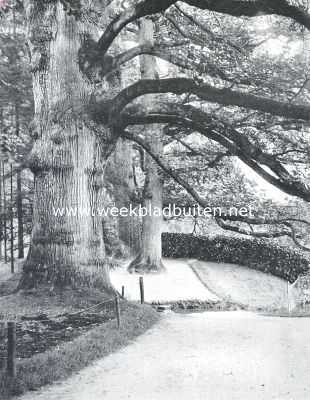 Gelderland, 1913, Arnhem, Eeuwelingen in het park van het kasteel Rosendaal
