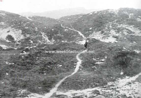 Noord-Holland, 1913, Bergen, Bergen in Kennemerland. In de duinen bij Bergen