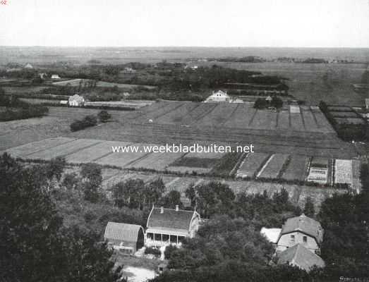 Bergen in Kennemerland. Gezicht van de duinen bij Schoorl op het vlakke polderland