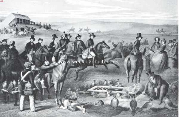 De valkenjacht in 1843. (naar de schilderij van J.B. Sonderland). In het midden Prins Alexander, gevolgd door den Hertog van Leeds en andere leden der club. Ter linkerzijde de valkeniers F. van den Heuvel te paard met een valk op de hand, en A. Mollen, op valkenierswijze rechts te paard stijgende, Op den achtergrond den tent op den Galgenberg