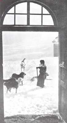 Zwitserland, 1914, Onbekend, Bij het St. Bernard klooster. Terugkeer der honden van een opsporingstocht in de sneeuw