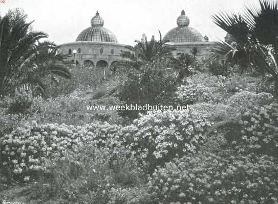 Amerika, 1914, Point Loma, San Diego en Lomaland. Het hoofdkwartier van het theosophisch genootschap te Point Loma, oprijzend uit een weelde van bloemen en planten