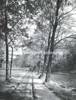 Gelderland, 1914, Winterswijk, Laantje bij de 