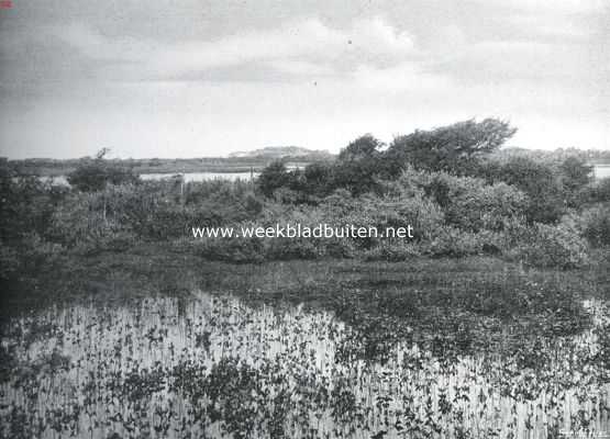 Zuid-Holland, 1914, Onbekend, Een mooi plekje in de duinen van Voorne 1