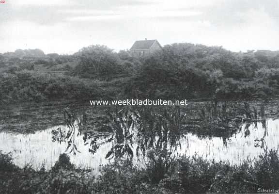 Zuid-Holland, 1914, Onbekend, Een mooi plekje in de duinen van Voorne 2