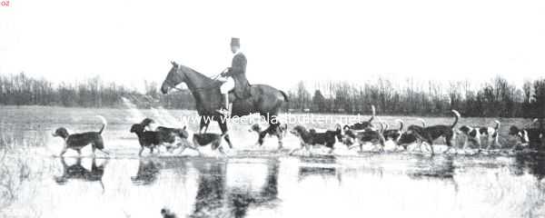 De vossenjacht, door de Koninkl. Veluwsche Jachtvereeniging ingericht in de omstreken van Lochem op 19 Maart l.l. Baron van Pallandt met de honden door de onder water staande landen rijdend