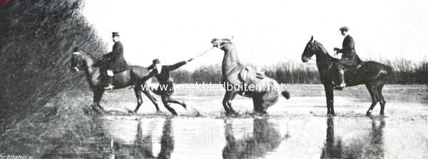 Gelderland, 1914, Lochem, De vossenjacht in de omstreken van Lochem. Een der paarden bleef bijna in het water steken