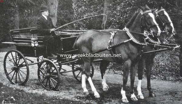 Noord-Holland, 1914, Santpoort, De jonge vossen van mej. Ensched te Santpoort zonder oogkleppen en opzetteugel. Een voorbeeld ter navolging