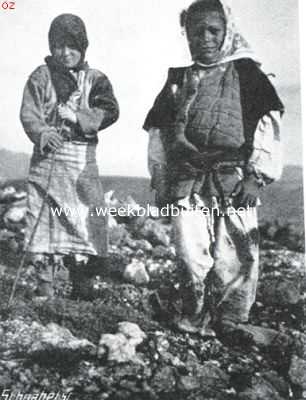 Albani, 1914, Onbekend, Albaneesche kinderen