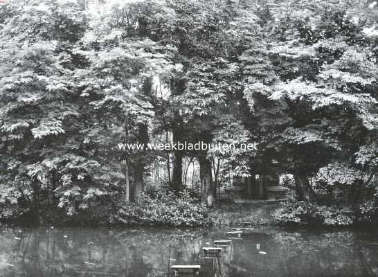 Gelderland, 1914, Velp, Het kasteel Biljoen. Het broed-eiland der ganzen in het park van kasteel Biljoen