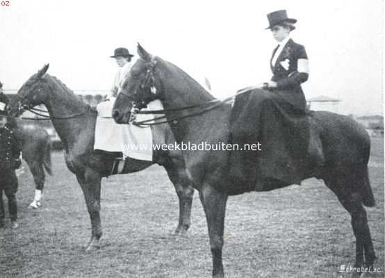 Zuid-Holland, 1914, Den Haag, Het concours hippique te 's-Gravenhage. Deelneemsters aan het concours voor dames-rijpaarden
