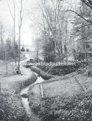 Drenthe, 1914, Frederiksoord, De tuin der Gerard-Adriaan-Van-Swieten-Tuinbouwschool te Frederiksoord. Schaduwpartij in den natuurtuin