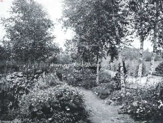 Drenthe, 1914, Frederiksoord, De tuin der Gerard-Adriaan-Van-Swieten-Tuinbouwschool te Frederiksoord. Gedeelte voor de alpinen