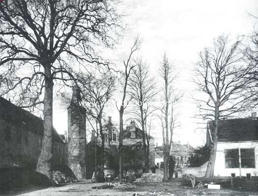 Gelderland, 1914, Harderwijk, Gezicht in den voormalige Hortus Botanicus te Harderwijk, rechts een ceder van den Libanon, daarnaast een Gingko Biloba