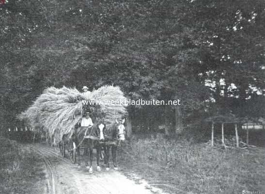 Nederland, 1914, Onbekend, Haver. Van het veld naar huis