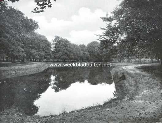 Vredige landschappen. Boschvijver in den herfst