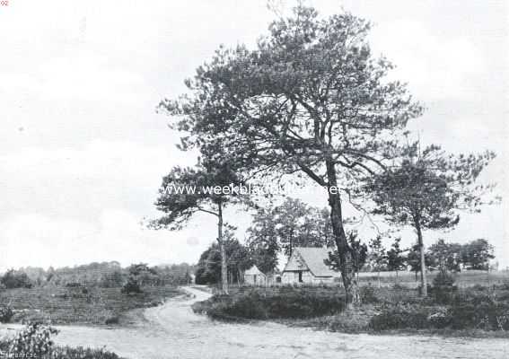 Nederland, 1914, Onbekend, Vredige landschappen. De landsche woning, gegroeid in het landschap zelf