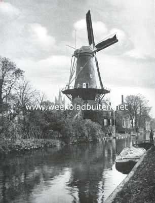 Zuid-Holland, 1914, Delft, Molen op de oude wallen te Delft