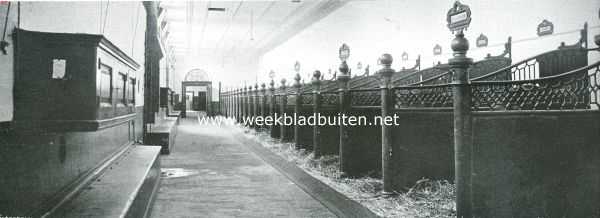 Zuid-Holland, 1914, Den Haag, De Koninklijke Stallen. Het inwendige van den stal van H.M. de Koningin
