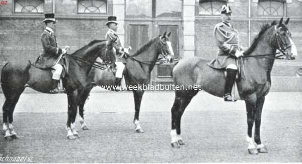 Zuid-Holland, 1914, Den Haag, De Koninklijke Stallen. Rijknecht-majoor, nestel-rijknecht, en rijknecht
